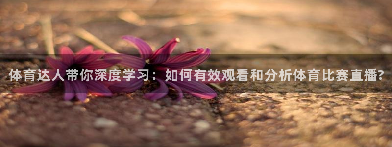 nba在线直播蜘蛛直播：体育达人带你深度学习：如何有效观看和分析体育比赛直播?