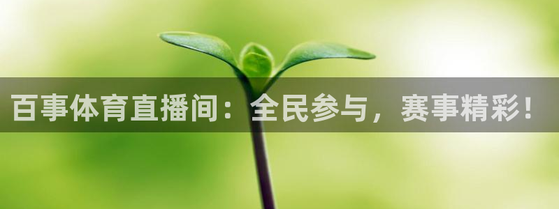 nba免费直播在线直播蜘蛛直播：百事体育直播间：全民参与，赛事精彩！