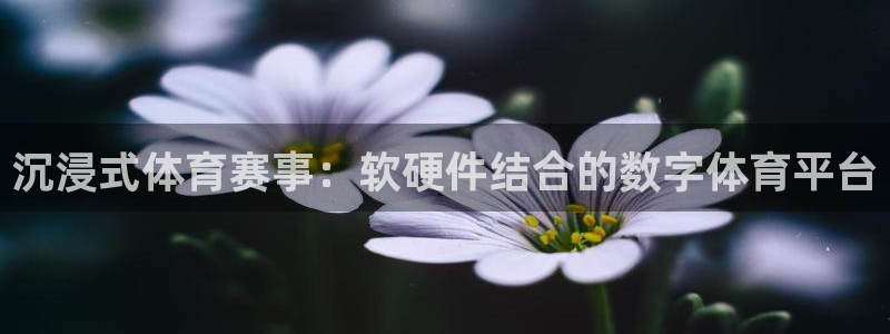 蜘蛛直播nba免费：沉浸式体育赛事：软硬件结合的数字体育平台