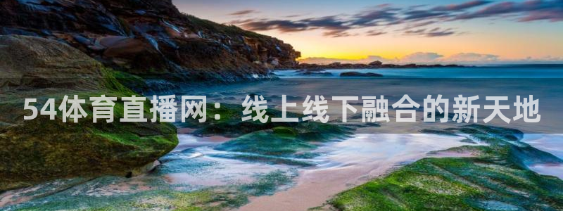 nba直播免费观看直播在线蜘蛛直播：54体育直播网：线上线下融合的新天地