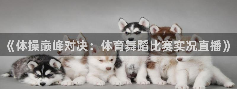 蜘蛛体育可可：《体操巅峰对决：体育舞蹈比赛实况直播》
