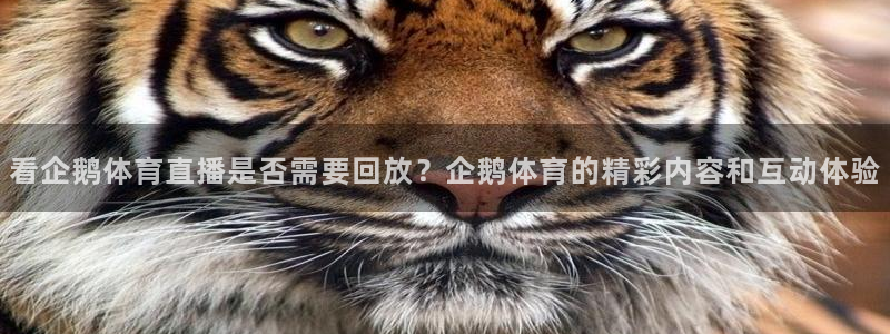 nba直播免费观看直播在线蜘蛛：看企鹅体育直播是否需要回放？企鹅体育的精彩内容和互动体验