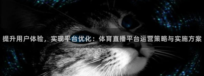 蜘蛛体育可可：提升用户体验，实现平台优化：体育直播平台运营策略与实施方案