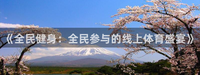 蜘蛛体育免费直播nba：《全民健身：全民参与的线上体育盛宴》