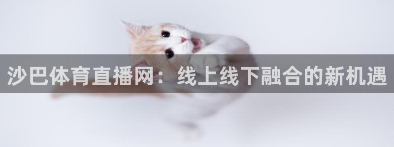 蜘蛛直播体育app：沙巴体育直播网：线上线下融合的新机遇
