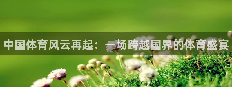 蜘蛛体育直播小狐狸：中国体育风云再起：一场跨越国界的体育盛宴