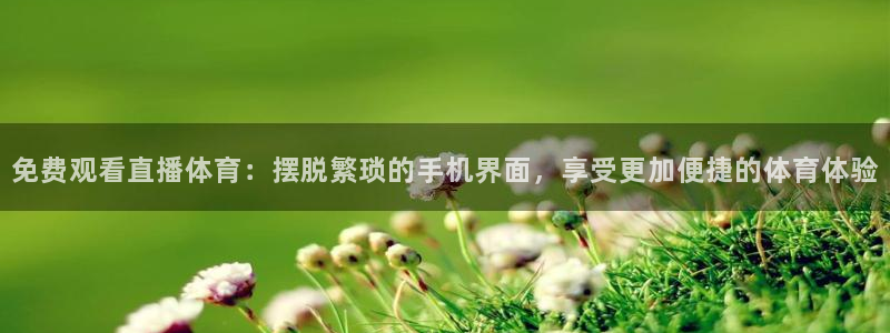 蜘蛛直播高清体育免费下载：免费观看直播体育：摆脱繁琐的手机界面，享受更加便捷的体育体验